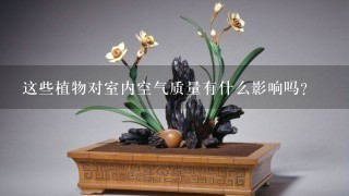 这些植物对室内空气质量有什么影响吗？