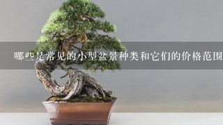 哪些是常见的小型盆景种类和它们的价格范围人民币？