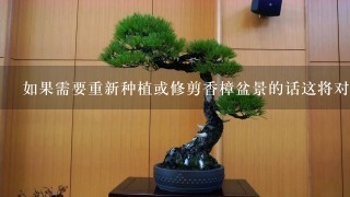 如果需要重新种植或修剪香樟盆景的话这将对它的价值产生什么影响？