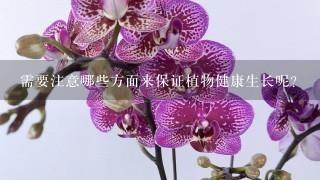 需要注意哪些方面来保证植物健康生长呢？