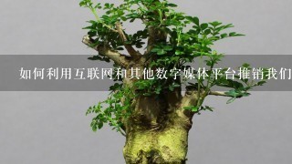 如何利用互联网和其他数字媒体平台推销我们的盆栽产品并提高销售额？