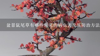 盆景鼠尾草有哪些常见的病虫害及其防治方法？