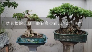 盆景松的价格一般在多少到几百之间呢？