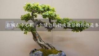 在城市中心租一个绿色植物或盆景的价格是多少？