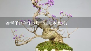 如何保存和保养辽宁红继木盆景？