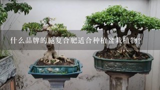 什么品牌的施复合肥适合种植盆栽植物？