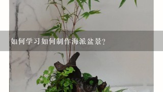 如何学习如何制作海派盆景？