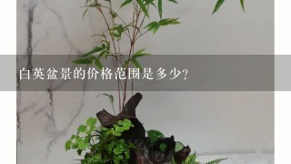 白英盆景的价格范围是多少？