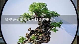 绿观音盆景需要如何处理虫害?