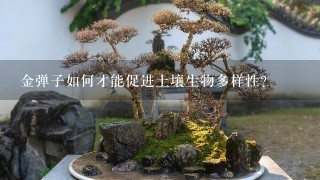 金弹子如何才能促进土壤生物多样性?