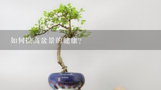 如何提高盆景的健康?