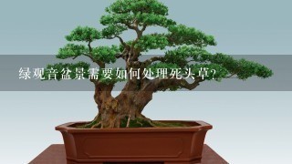 绿观音盆景需要如何处理死头草?