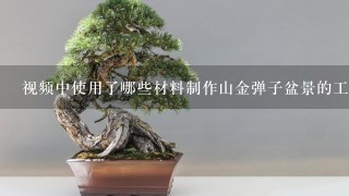 视频中使用了哪些材料制作山金弹子盆景的工艺?