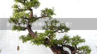 金弹子盆景中有哪些常见的花器?