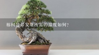 榕树盆景发芽所需的温度如何?