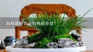 如何选择合适的种植容器?