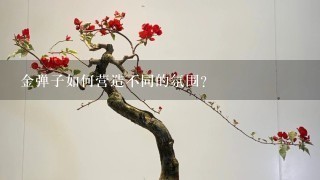 金弹子如何营造不同的氛围?