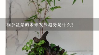 桐乡盆景的未来发展趋势是什么?