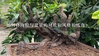 如何将陶粒与盆景的材质和风格相结合?