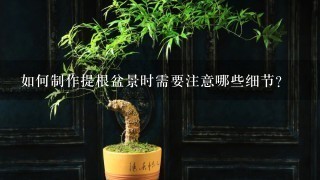 如何制作提根盆景时需要注意哪些细节?