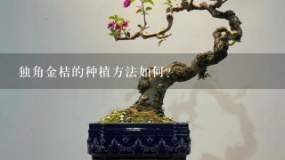 独角金桔的种植方法如何?