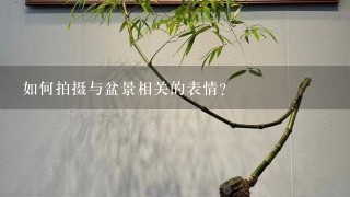 如何拍摄与盆景相关的表情?