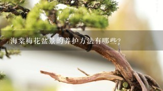 海棠梅花盆景的养护方法有哪些?