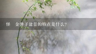 怪樁金弹子盆景的特点是什么?