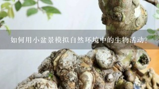 如何用小盆景模拟自然环境中的生物活动?