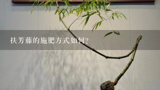 扶芳藤的施肥方式如何?